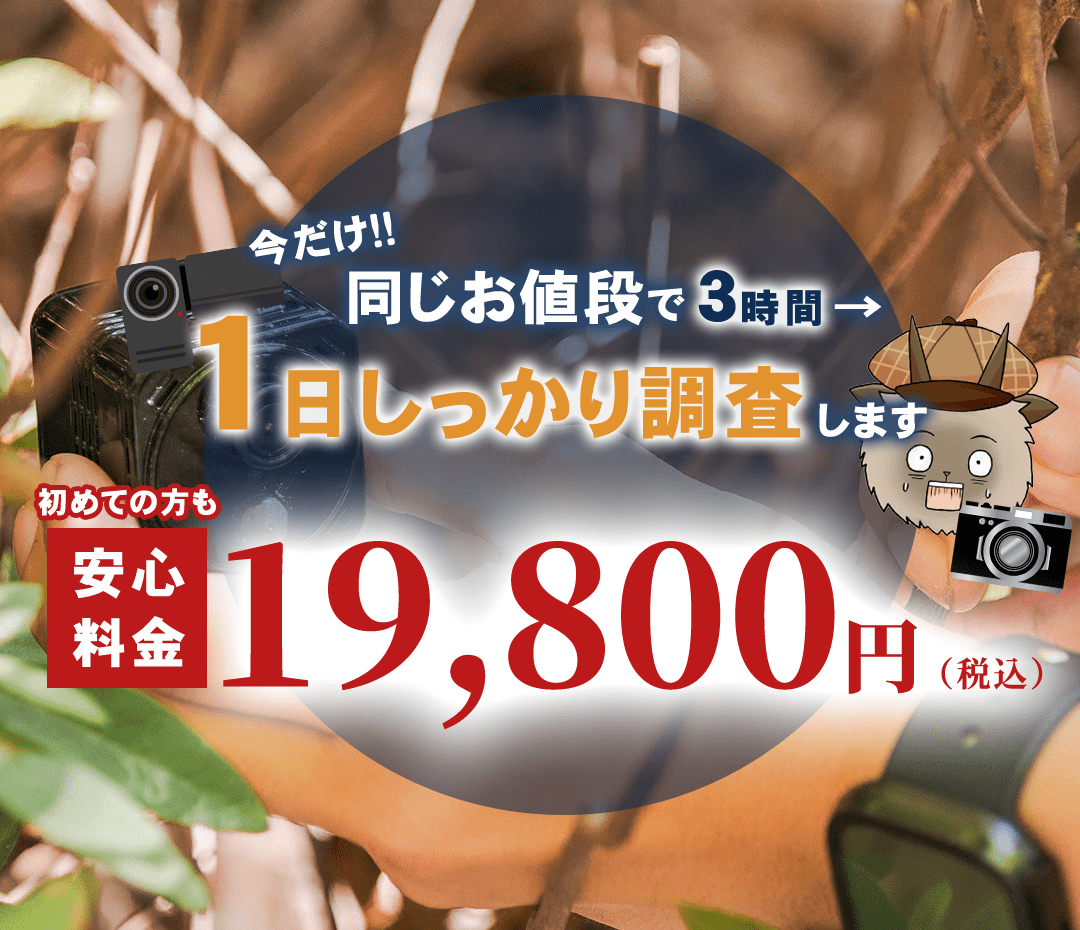 今だけ！同じお値段で3時間→【1日しっかり調査】します　安心料金　初めての方も19,800円（税込）