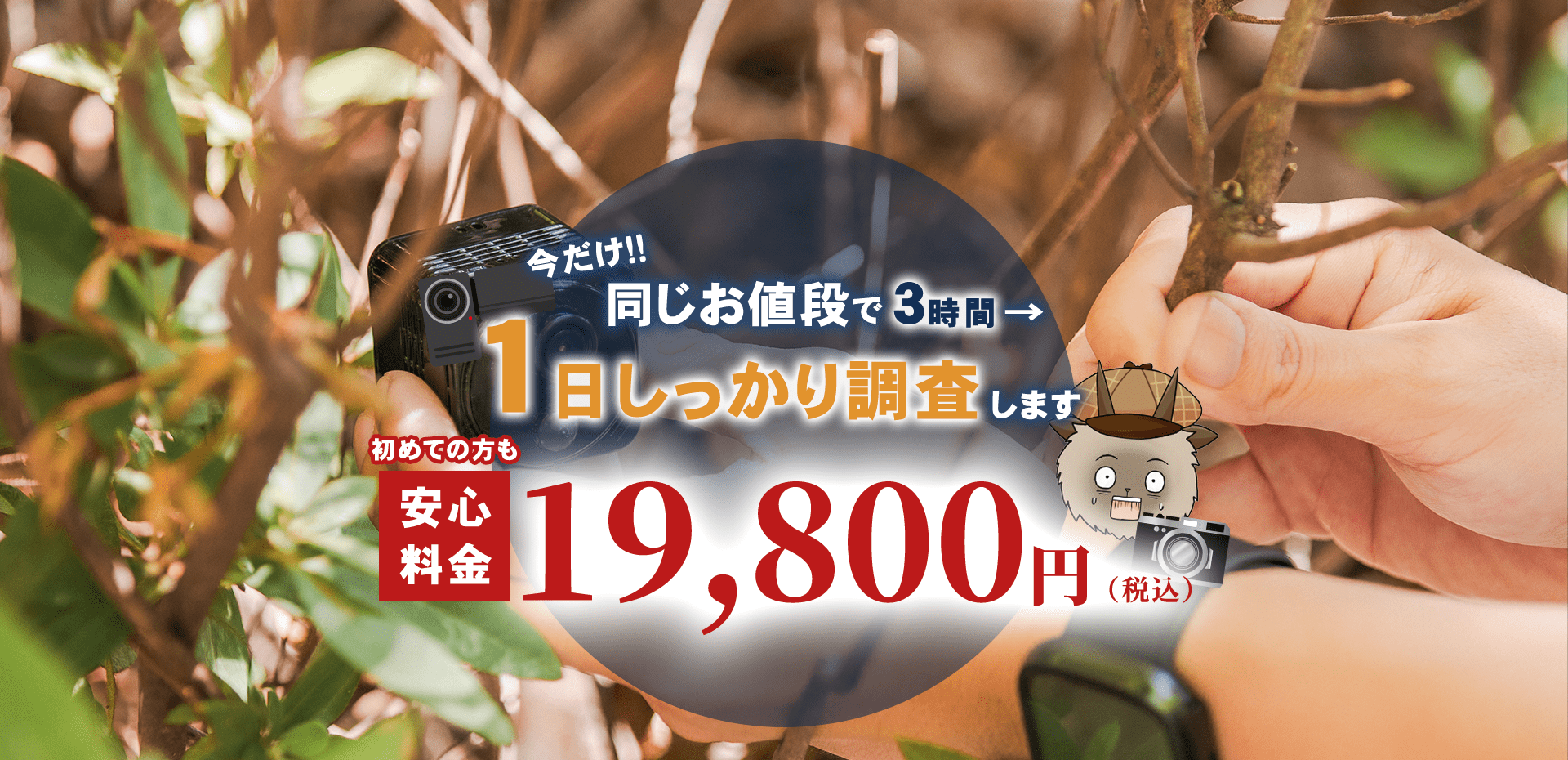 今だけ！同じお値段で3時間→【1日しっかり調査】します　安心料金　初めての方も19,800円（税込）